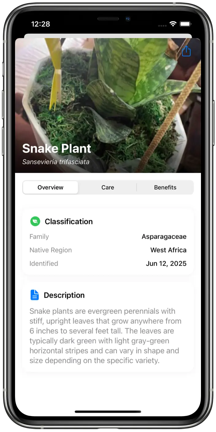 Nature Identifier App Interface